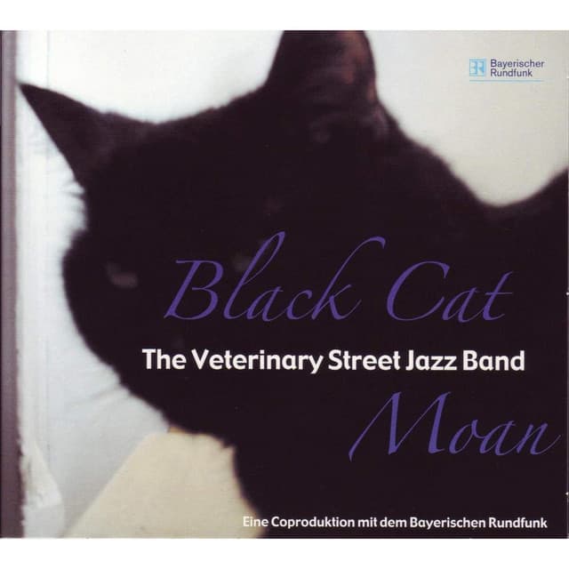 Veterinary Street Jazz Band