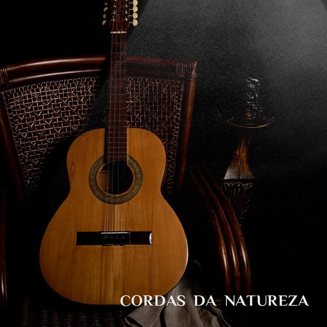 Violao