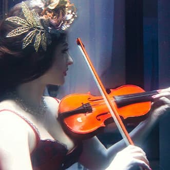 VIOLIN COVERS