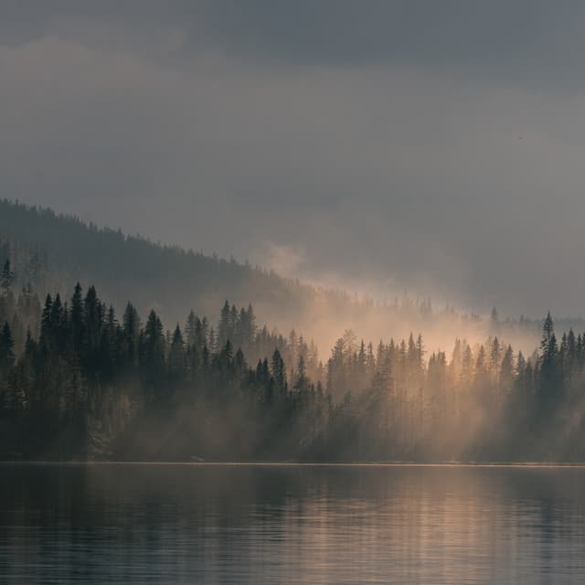 Violin Sky