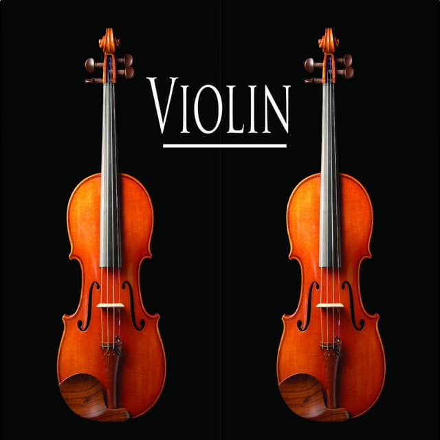 violin