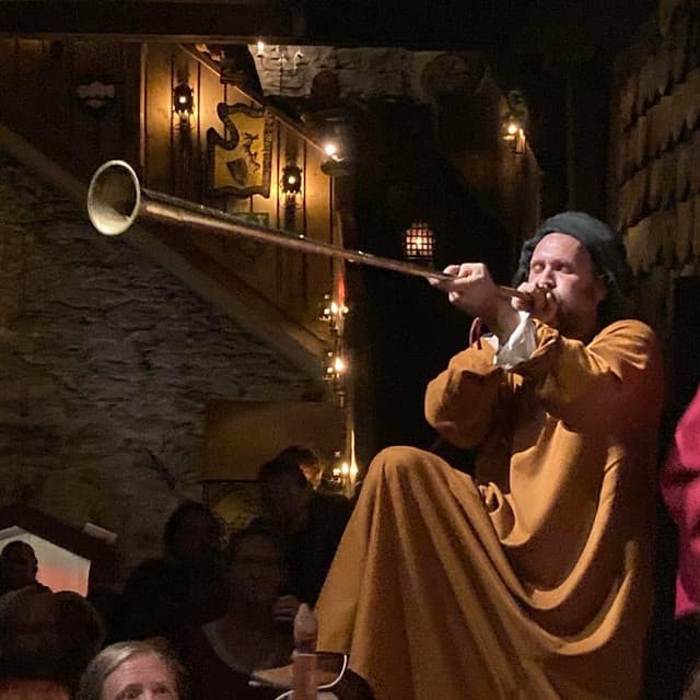 Vox Vulgaris