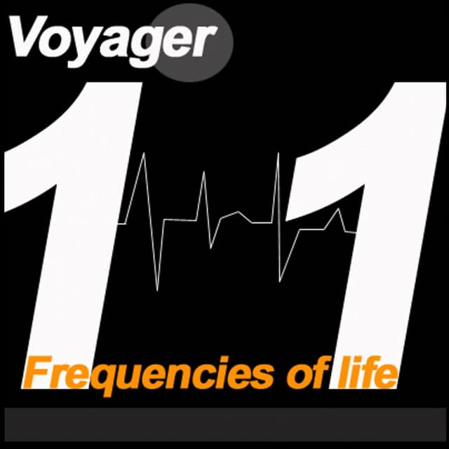 Voyager11