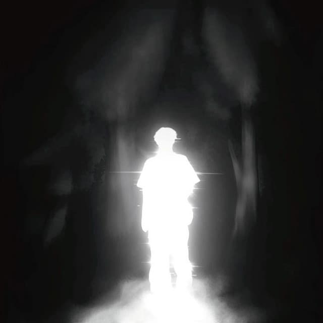 vtnmsn