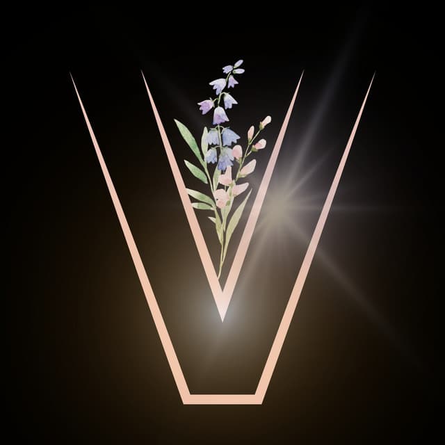 Vuxxer