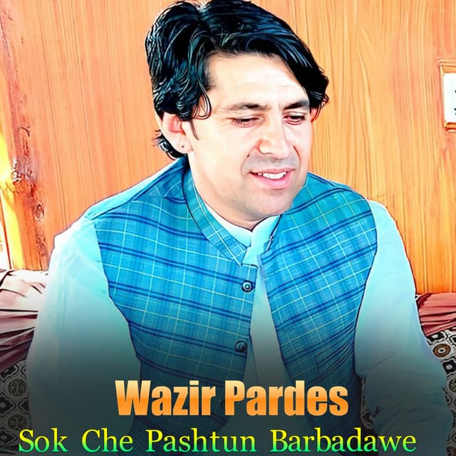 Wazir Pardes