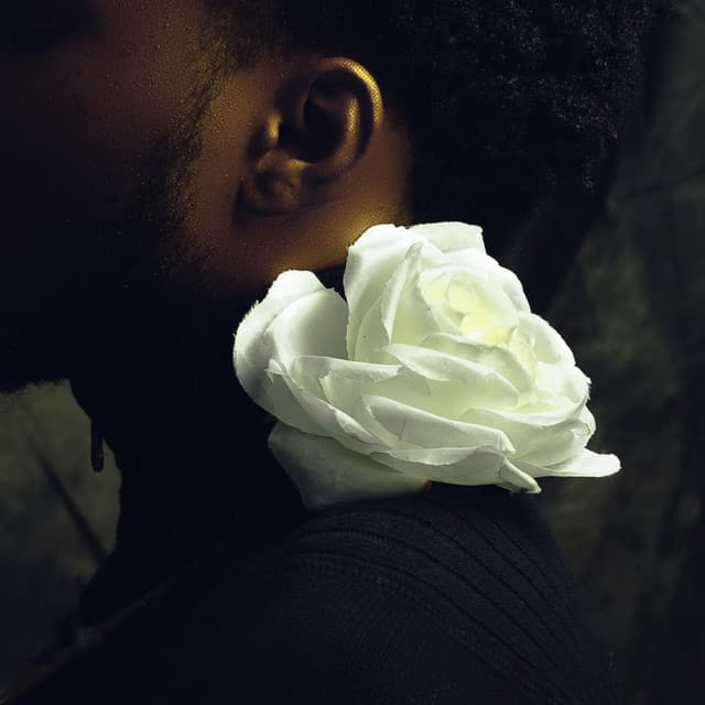 Wes Ivory