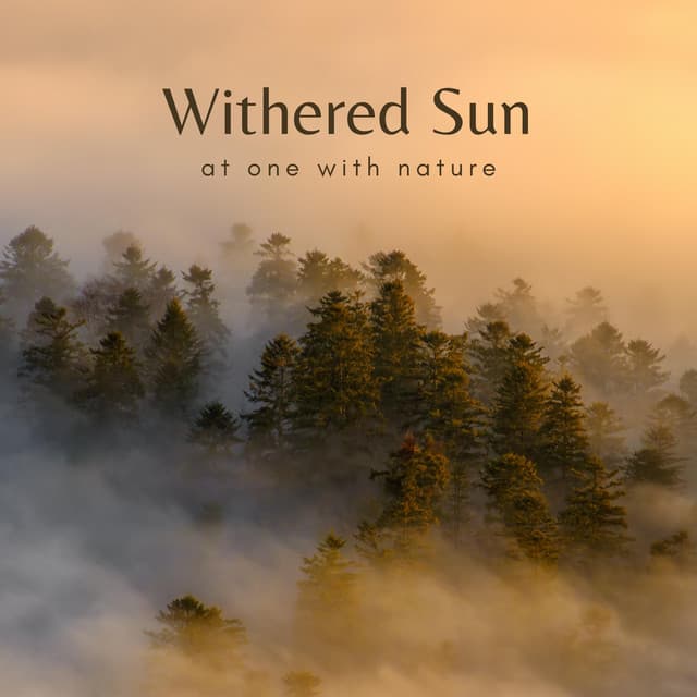 Withered Sun