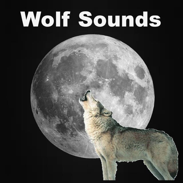 Wolf Sounds