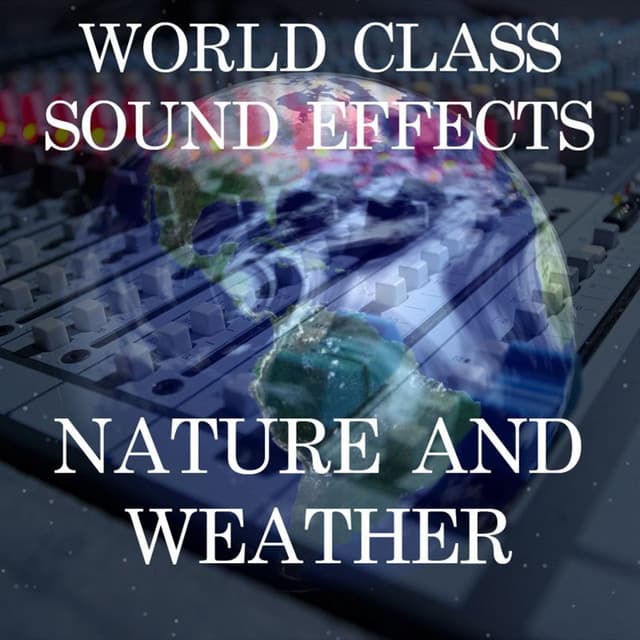 World Class Sound Effects