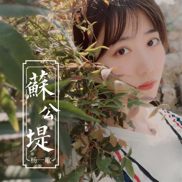 杨一歌