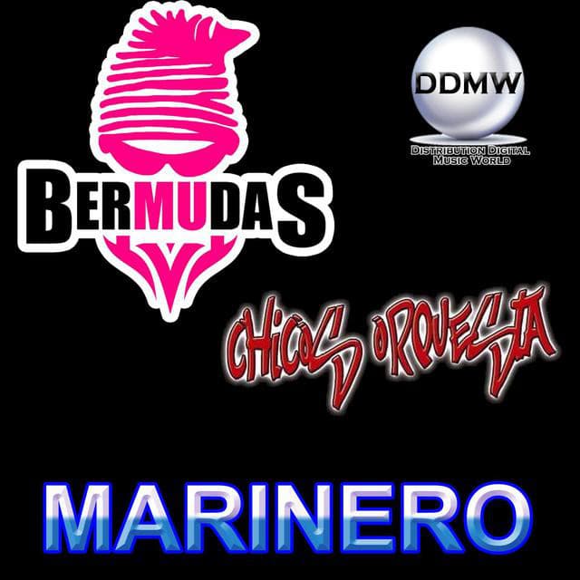 Yanga Bermudas