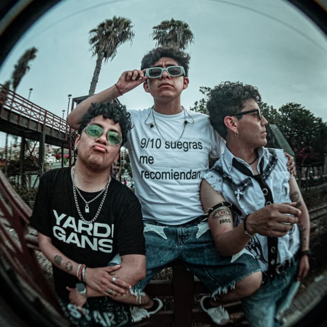 YARDIGANS