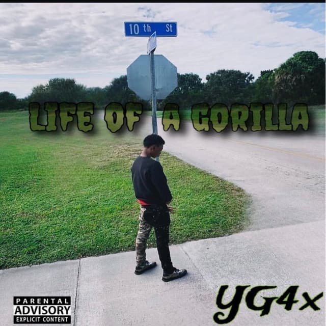 Yg4x