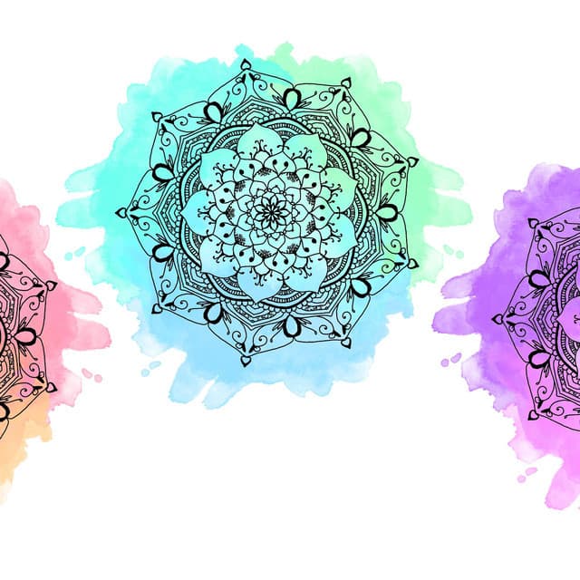 Yin Yoga Academy