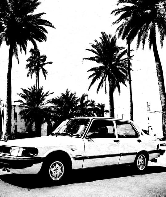 Young Saab