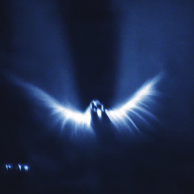 YOUTHISENDING