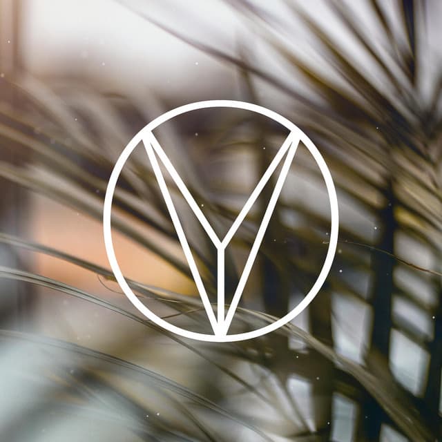 YVO