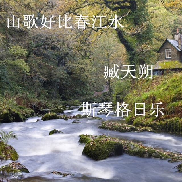 臧天朔