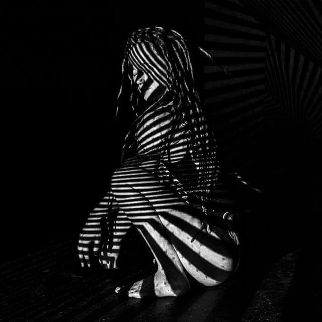ZebrA OctobrA
