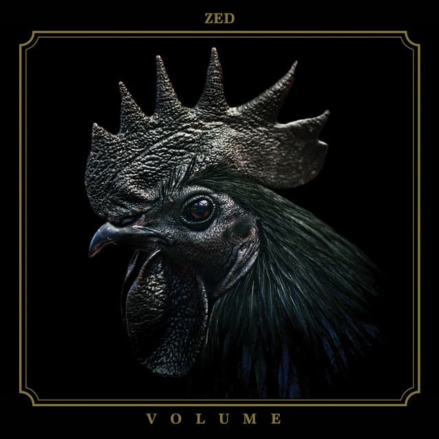 Zed
