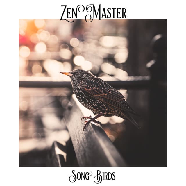 Zen Master