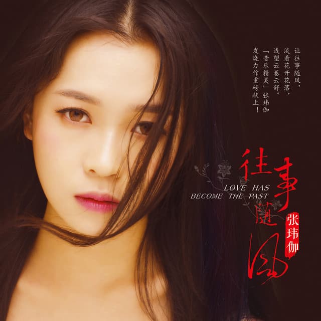 张玮伽