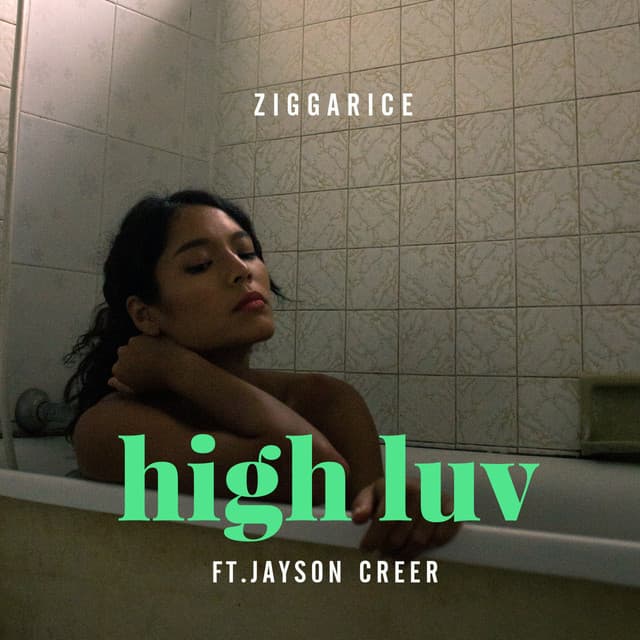 ZiggaRice
