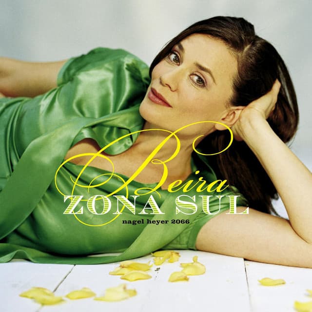 Zona Sul