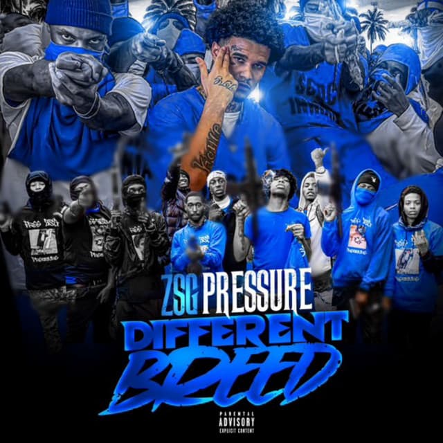 ZSG Pressure