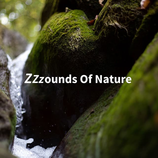 Zzzounds of Nature