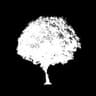 Black Mango | Bar And Live Music |