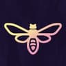 Firefly Music Festival