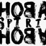 Hoba hoba spirit officiel