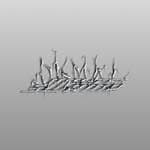 Most Dismal Swamp (@most_dismal_swamp)